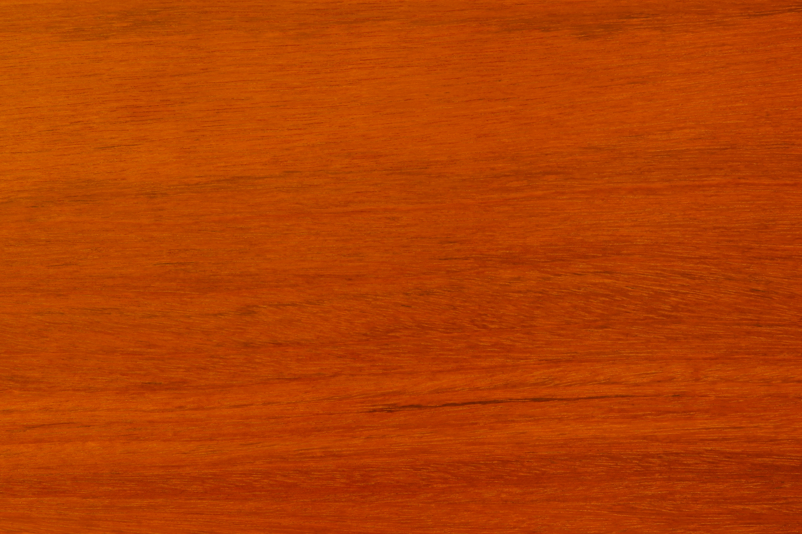 texture wood, download image, photo, tree wood, wood texture, background